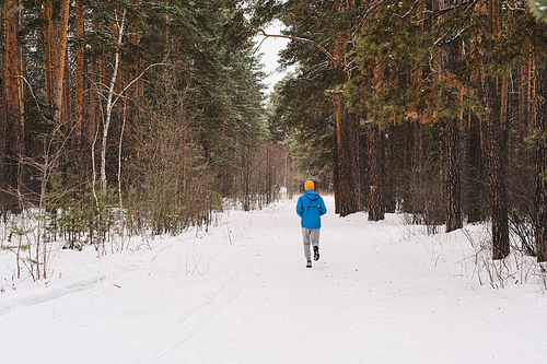 Rear view of unrecognizable man in blue jacket running in winter forest