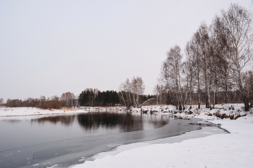 Winter scenery of river shore with naked trees and clean snow, nature concept