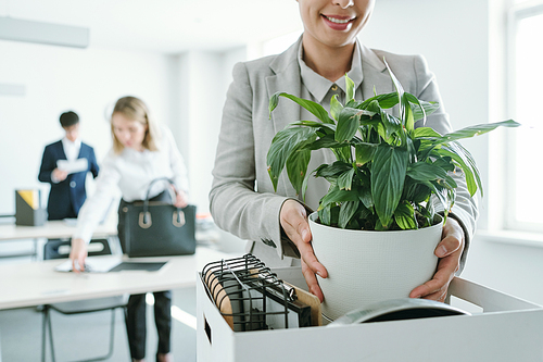 Happy young businesswoman in formalwear taking out flowerpot with green plant out of box with office supplies before starting work