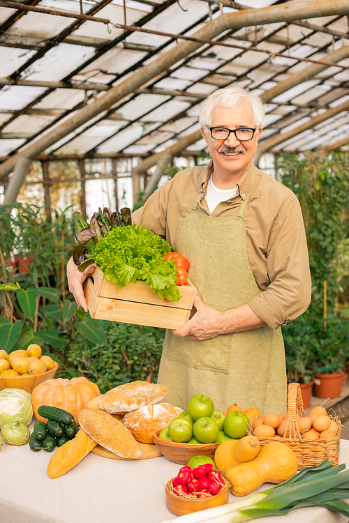 Portrait of smiling senior farmer with mustache holding box of fresh vegetables in greenhouse