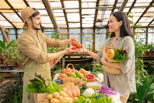 smiling handsome young bearded farmer in apron and cap selling ripe s to asian woman in grocery house