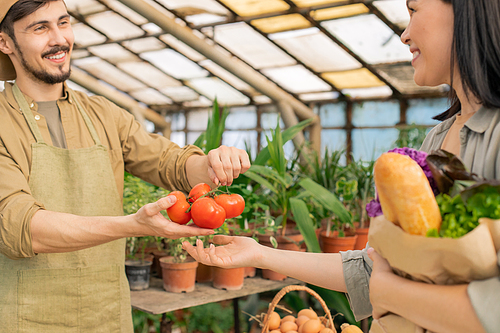 Cheerful handsome young farmer in apron selling fresh tomatoes to Asian female customer at farmers shop