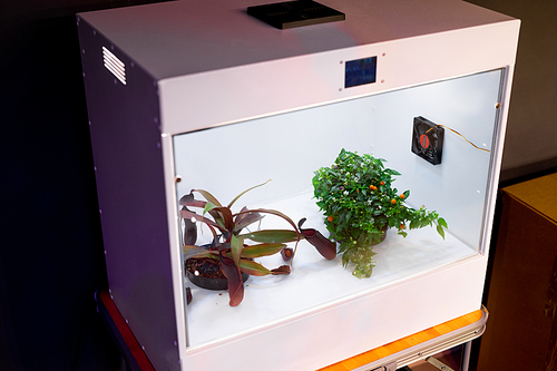 Camera for growing plants where optimal temperature is regularly retained standing on small table inside laboratory