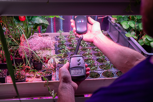 Close-up of unrecognizable greenhouse inspector measuring humidity of seedling under LED lamp with special device in greenhouse