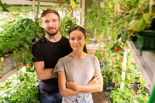 Portrait of smiling young couple in casual outfits standing with crossed arms in own small greenhouse with berry plants