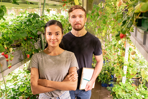Two young contemporary farmers or gardeners in workwear standing in front of camera during work in greenhouse