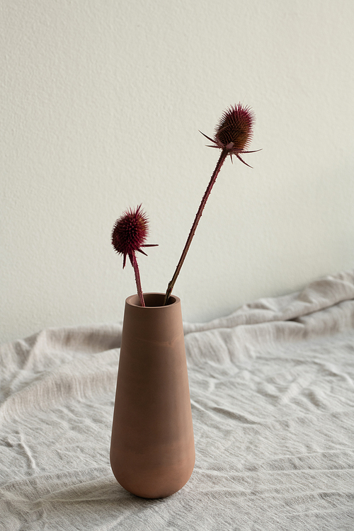 Two dry wildflowers with long stems in clay or ceramic handmade vase or jug standing on table covered by white linen cloth against wall