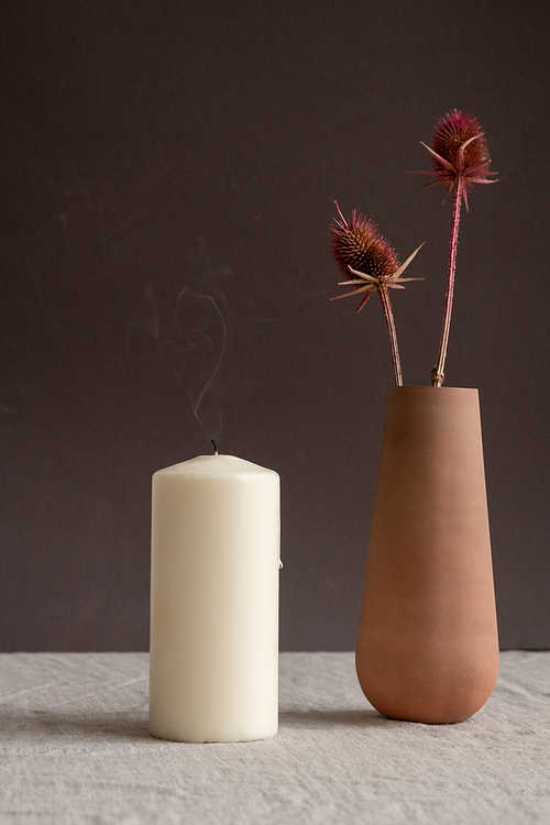 Blown out aromatic candle and handmade brown clay vase or jug with two dry wildflowers standing on table against black wall