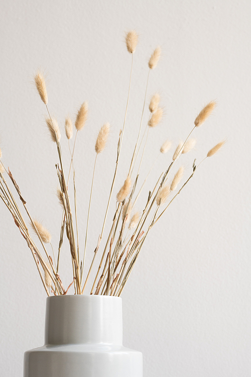 Bunch of dried wildflowers or spikes inside white ceramic vase against wall or background with copyspace for your message or advert