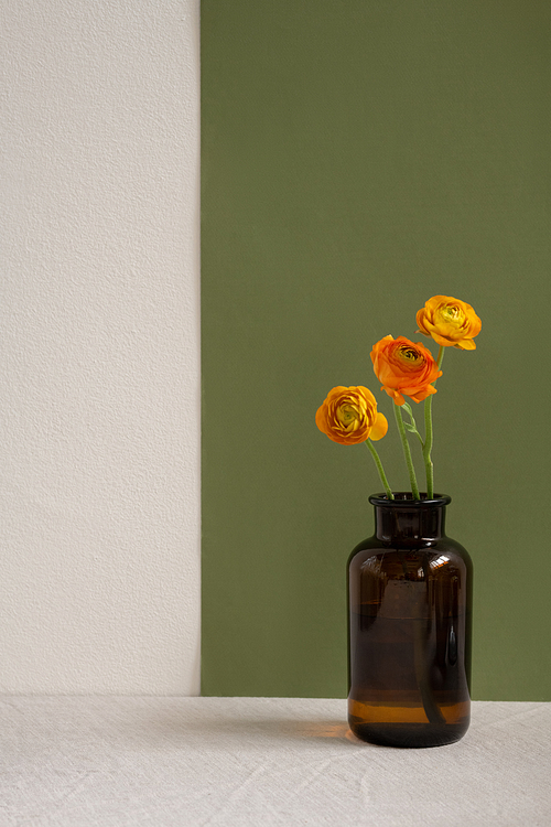 Three yellow dried wildflowers with long green stems standing in dark bottle or glass vase on table against multi-color wall in isolation