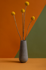 Grey clay jug or vase with several yellow dried wildflowers with long stems standing on brown table against double color wall in isolation