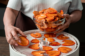 Hands of mature female in apron taking dried slices of persimmon or other fruit from top tray of domestic food dryer in the kitchen