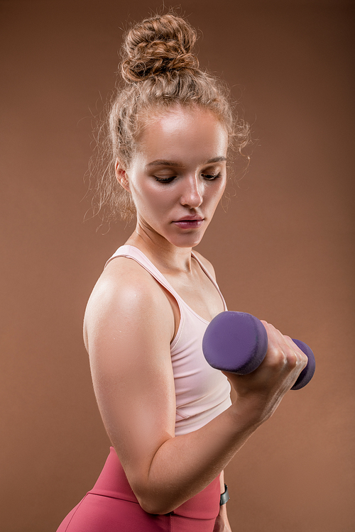 Young serious strong female in sportswear holding dumbbell with her arm bent in elbow while having morning workout on brown background