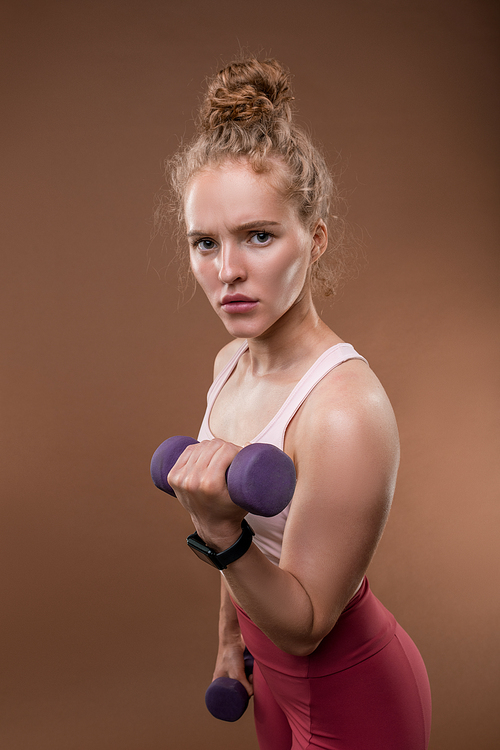 Young serious strong sportswoman in activewear holding dumbbells during exercise for arms in front of camera in isolation