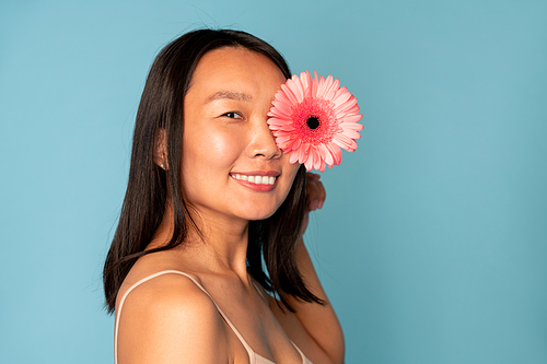 Young pretty Asian woman with toothy smile holding gorgeous pink herbera by left eye while looking at you on blue background