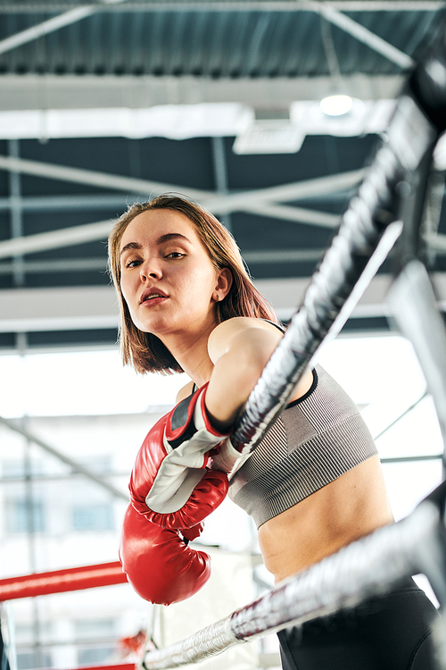 Pretty young confident female in activewear and boxing gloves standing by bars of rink while enjoying break between trainings in gym