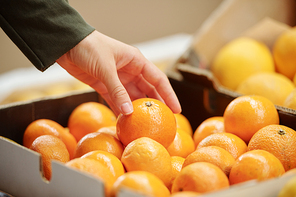 Close-up of unrecognizable customer touching tangerine in box while choosing it for purchasing in store