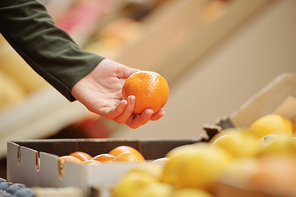 Close-up of unrecognizable person choosing tangerine at organic food market, shopping concept