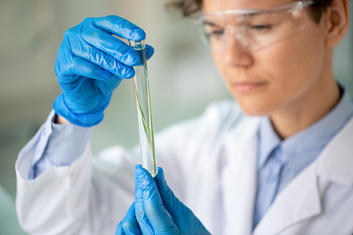 Young contemporary chemist or researcher in gloves and whitecoat looking at green plant in flask in her hands during investigation