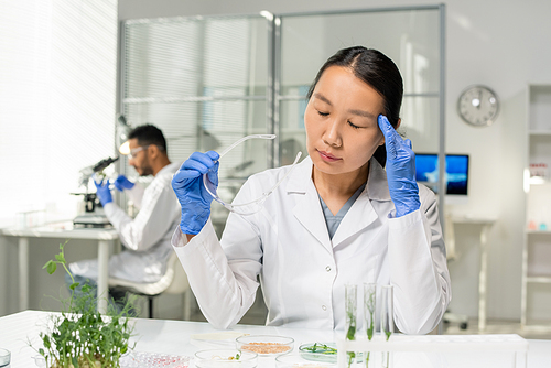 Young tired Asian female researcher in whitecoat and gloves touching her head while studying samples of lab-grown sprouts in laboratory