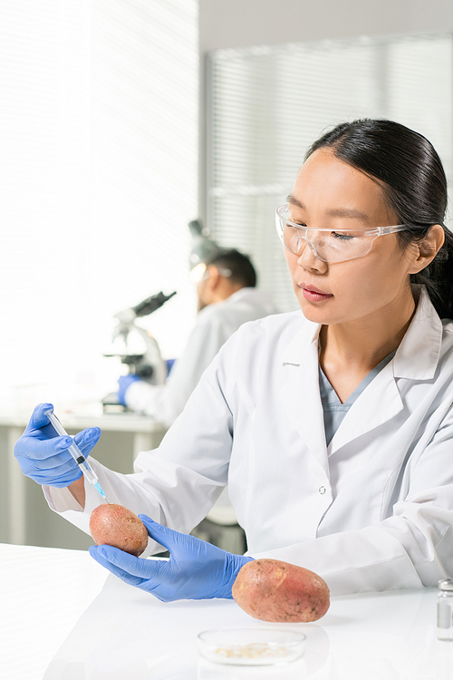 Young Asian female researcher in whitecoat, gloves and protective eyeglasses injecting potato during scientific experiment in laboratory