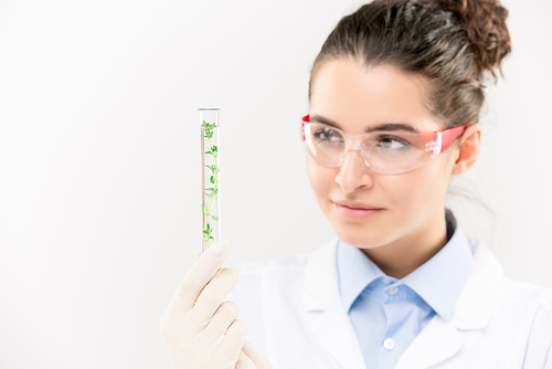 Pretty young biologist in eyeglasses nad gloves looking at flask with long green plant inside while working in laboratory