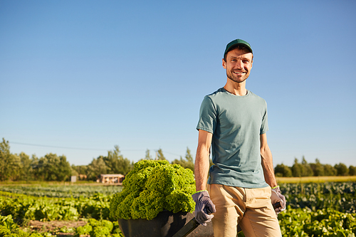 Portrait of smiling male worker pulling loaded cart with rich harvest and  while standing at vegetable plantation outdoors in sunlight, copy space