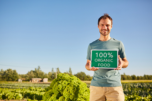 Portrait of smiling man holding ORGANIC FOOD sign and  while standing at vegetable plantation outdoors in sunlight, copy space