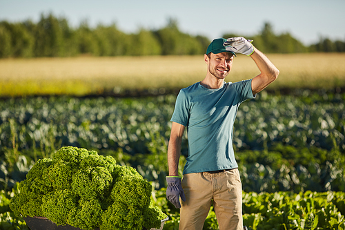 Portrait of male worker holding loaded cart and  while standing at vegetable plantation outdoors in sunlight, copy space