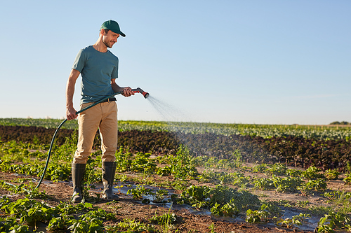 Side view full length portrait of young male worker watering crops at vegetable plantation and smiling while standing outdoors against blue sky, copy space
