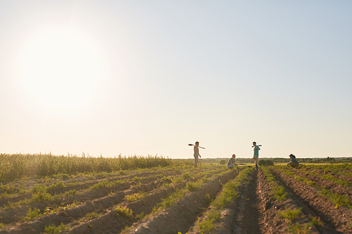 Wide angle view at outdoor vegetable plantation lit by sunset light with silhouettes of workers in background, copy space