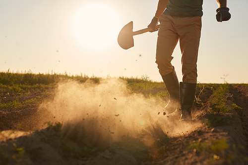 Low section portrait of unrecognizable male worker blowing clouds of dust from rubber boots and holding shovel while walking across plantation field in sunset light, copy space
