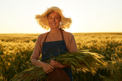 Waist up portrait of smiling young woman holding heap of rye while posing at golden field in sunset light, copy space