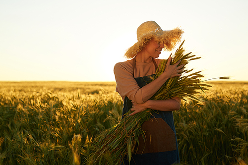 Waist up portrait of smiling young woman holding heap of rye and wearing straw hat while posing at golden field in sunset light, copy space