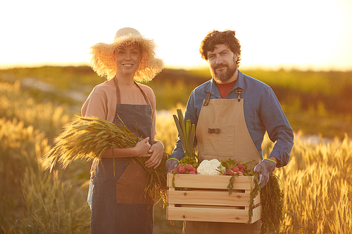 Waist up portrait of smiling mature couple holding rich harvest while standing in golden field lit by sunset light, copy space