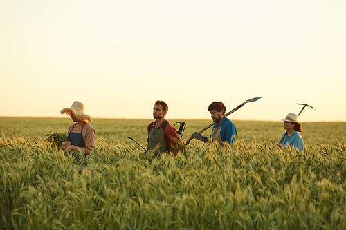 Side view at workers holding tools while walking across golden field in sunset light, copy space above