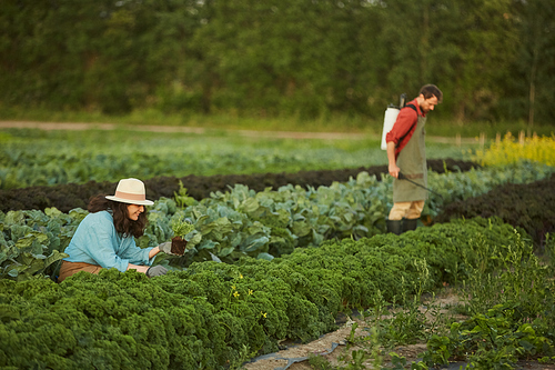 Portrait of two people working in field at vegetable plantation, focus on young woman in foreground, copy space