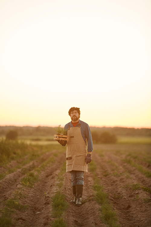 Vertical full length portrait of bearded farmer walking towards camera in field lit by sunset light