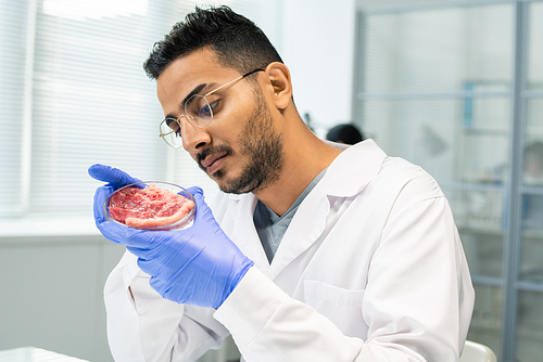 Young gloved male scientific researcher in whitecoat holding petri dish with piece of raw vegetable meat while studying its characteristics