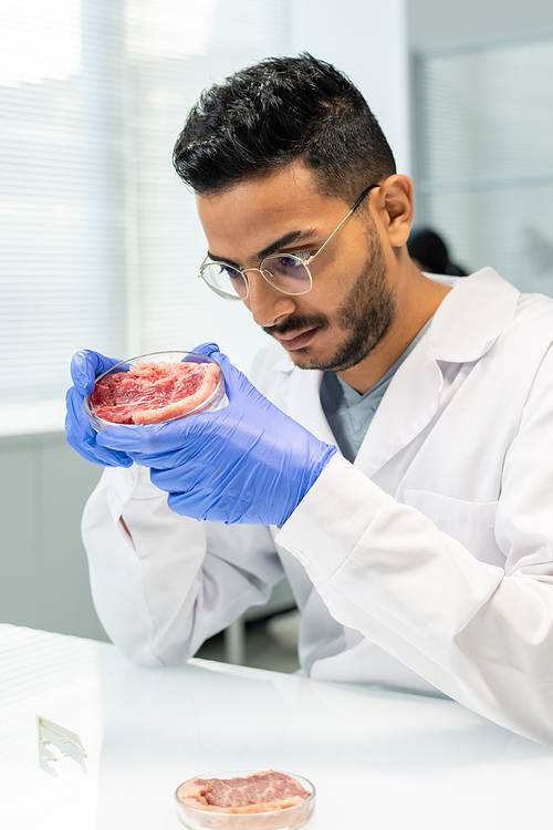Young gloved male scientific researcher in whitecoat looking attentively at piece of raw vegetable meat in petri dish while studying its characteristics