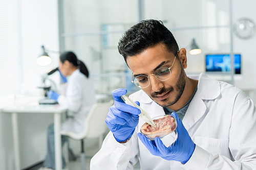 Gloved male scientific researcher in whitecoat taking tiny sample of raw vegetable meat during experiment in modern laboratory
