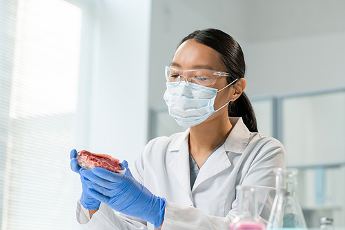 Young gloved female scientific researcher in whitecoat, mask and eyewear looking attentively at piece of raw vegetable meat in petri dish in lab