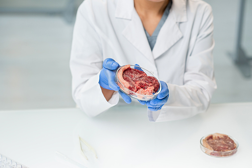 Gloved hands of young female researcher in whitecoat holding petri dish with piece of raw vegetable meat over table during experiment
