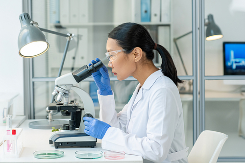 Young Asian female laboratory worker in gloves, eyeglasses and whitecoat studying sample of raw vegetable meat in microscope by desk