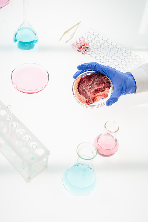 Gloved hand of contemporary researcher holding petri dish with sample of raw vegetable meat over workplace with beakers and tubes