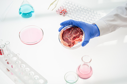 gloved hand of scientific researcher holding petri dish with sample of raw  meat over workplace with beakers, flasks and tubes