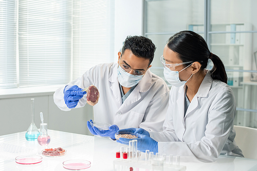 Two young intercultural researchers or clinicians in whitecoats and gloves studying features of one of samples of raw vegetable meat in laboratory
