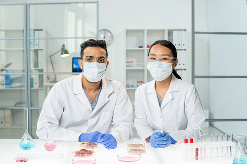 Two young intercultural clinicians in whitecoats, protective masks and gloves studying samples of raw vegetable meat in laboratory