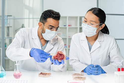Two young researchers or clinicians in whitecoats, protective masks and gloves studying features of one of samples of raw vegetable meat
