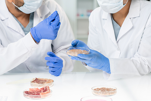Gloved hands of two young researchers or clinicians in whitecoats and protective masks studying features of one of samples of vegetable meat